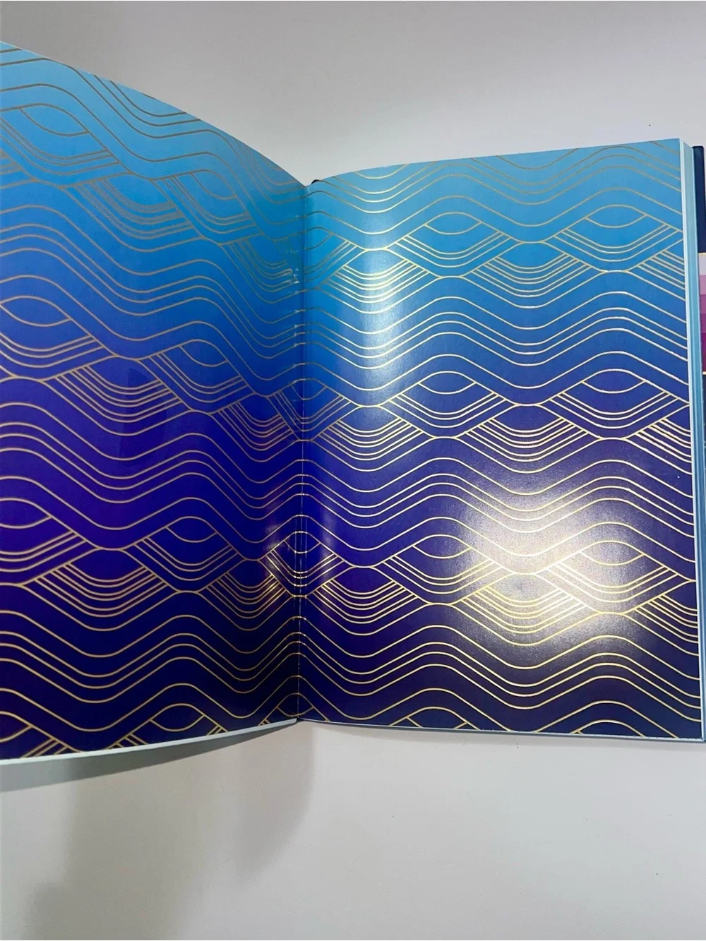 Jonathan Adler Softcover Lined Journal Notebook w/ Stickers & Ribbon Bookmark
